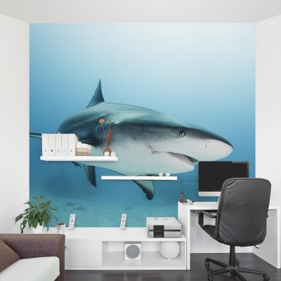 Caribbean Reef Shark Wall Mural