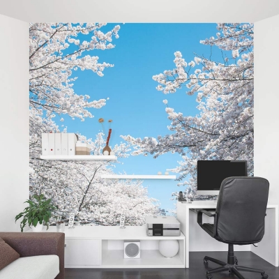 Cherry Blossom wall mural