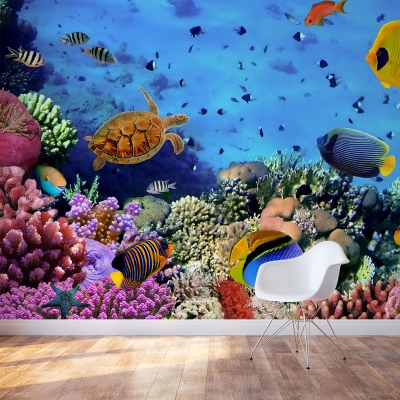 Sea Reef Life Wall Mural