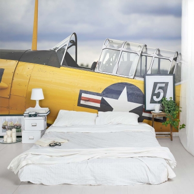 Vintage Yellow Plane Wall Mural