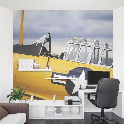 Vintage Yellow Plane Wall Mural