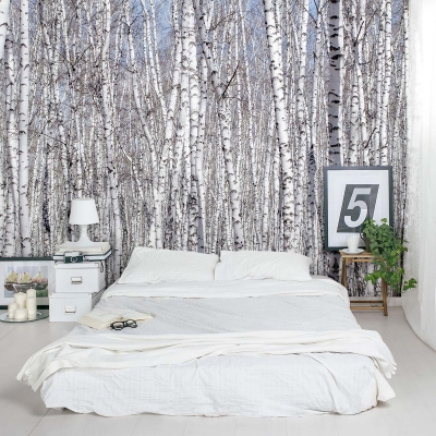 White Birch Trees Wall Mural