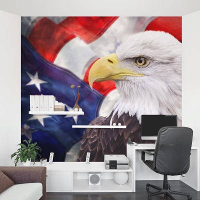 American Bald Eagle Office Wall Mural
