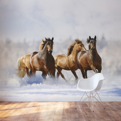 Winter Horses Wall Mural