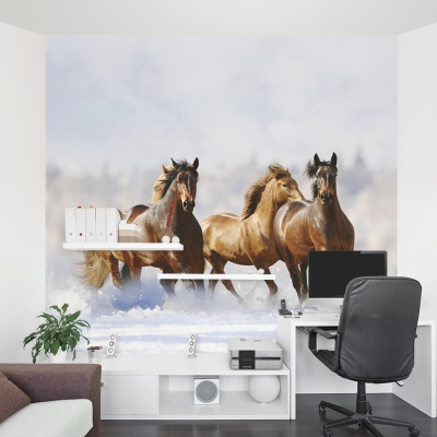 Winter Horses Wall Mural Office