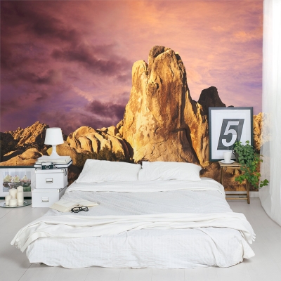 Mojave Desert Sunrise Wall Mural Bedrom