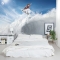 Snow Surfer Wall Mural