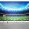 Lights on the Field Wall Mural