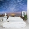 Shooting Stars Wall Mural