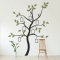 Family Tree Wall Decal with Faux Frames