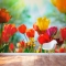 Floral Tulip Wall Mural