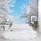 Cherry Blossom Wall Mural