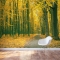 Golden Autumn Forest Wall Mural