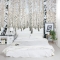 Birch Tree Wall Mural