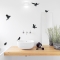 Set of Birds Wall Decal