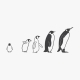 March of the Penguins wall decal