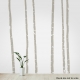 Birch Tree Wall Decals