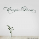 Carpe Diem Wall Quote Decal