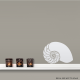 Sea Shell Wall Decal