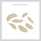 Falling Feathers Wall Decal Kit