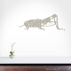 Grasshopper Beige Wall Decal