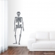 Skeleton Dark Grey Wall Decal