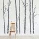 Birch Tree Forest Wall Decal